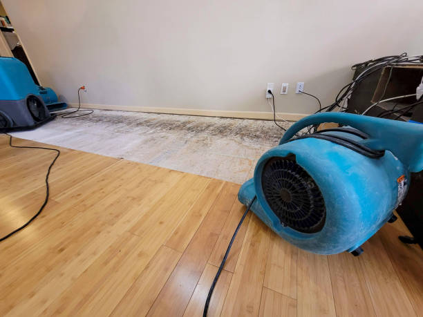 Professional Burst Pipe Water Damage technician working in Britton, MI
