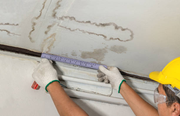 Affordable Burst Pipe Water Damage solutions in Britton, MI